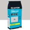Joint, Poudre AXTON Gris Clair 1.0 Kg, 2 M²