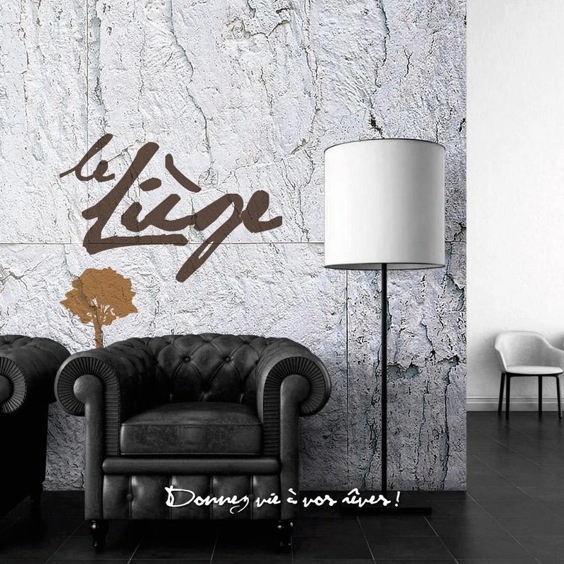 Dalle De Liège Murale Lot De 10, Blanc, L.30 X L.60 Cm 1 Dalle De Liège Murale Lot De 10, Blanc, L.30 X L.60 Cm