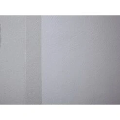 Fibre De Verre 230 G/m² Taloche 20mx100cm