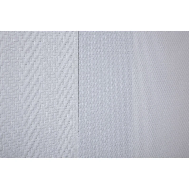 Fibre De Verre Maille Sur Molleton 10MX100CM, Prépeint 380 G/m² 1 Fibre De Verre Maille Sur Molleton 10MX100CM, Prépeint 380 G/m²