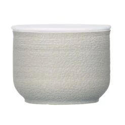 Boîte à Coton Nebo, Gris / Argent