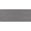 Faïence Mur Béton Noir Satiné L.20 X L.50 Cm, Hotel